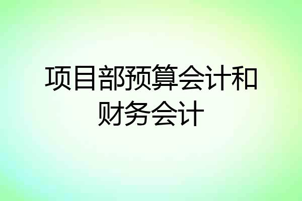 项目部预算会计和财务会计