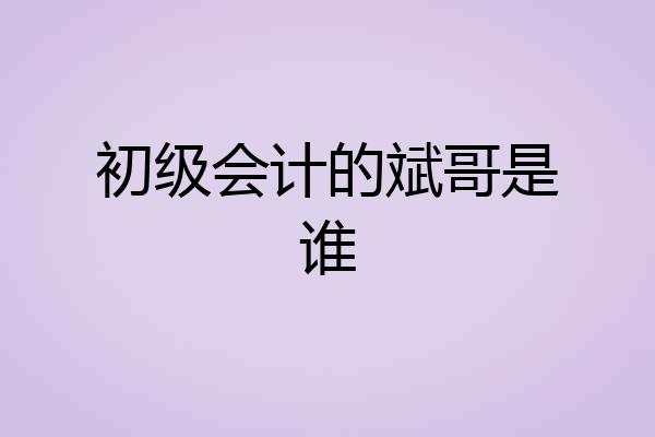初级会计的斌哥是谁