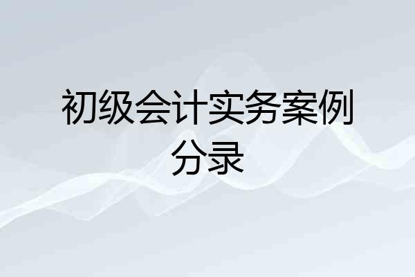 初级会计实务案例分录
