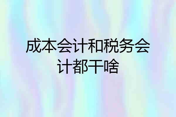 成本会计和税务会计都干啥