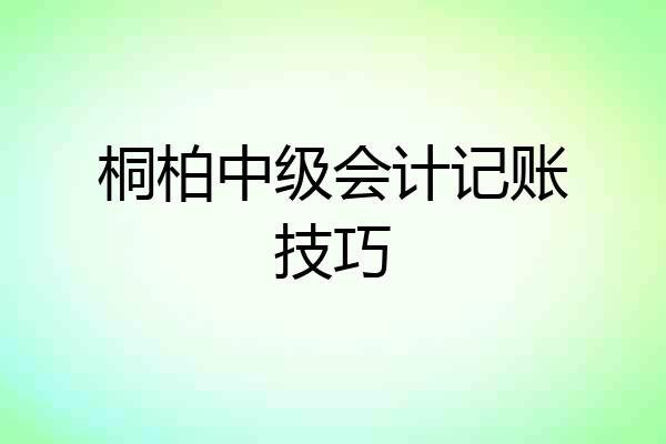 桐柏中级会计记账技巧