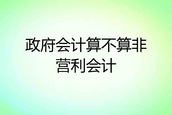 政府会计算不算非营利会计