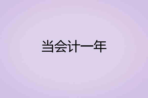 当会计一年