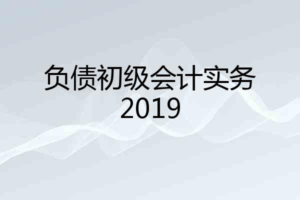 负债初级会计实务2019