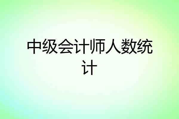中级会计师人数统计