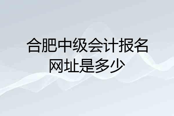 合肥中级会计报名网址是多少