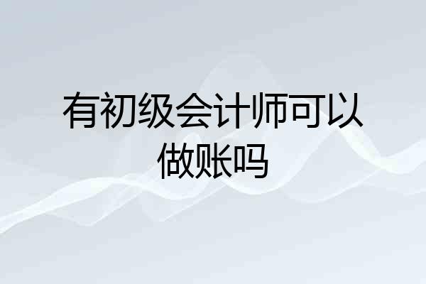 有初级会计师可以做账吗