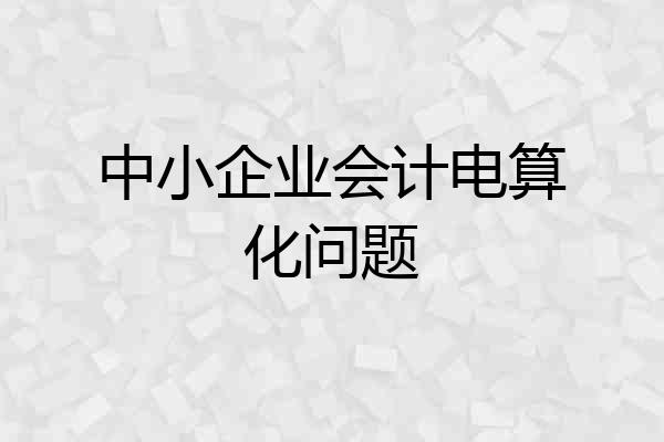 中小企业会计电算化问题