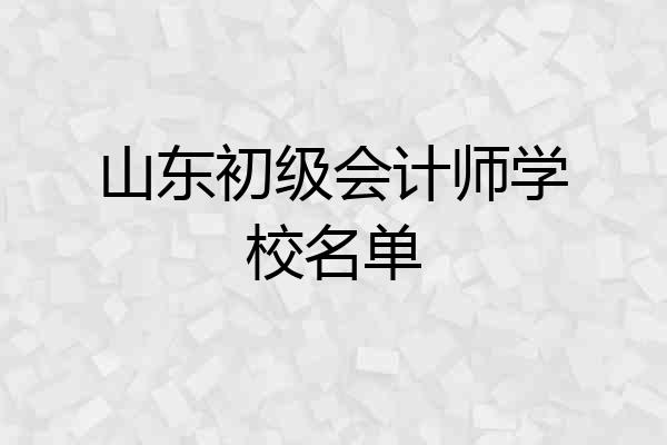 山东初级会计师学校名单