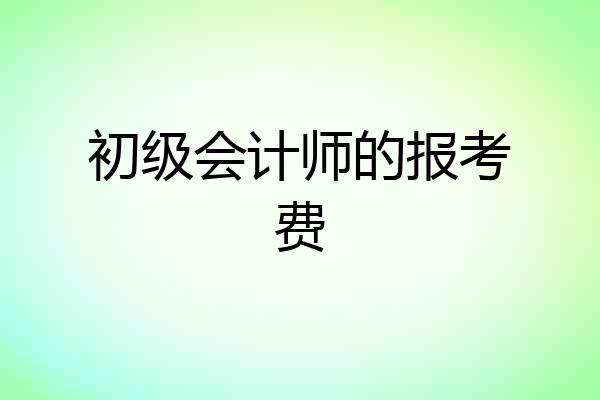 初级会计师的报考费