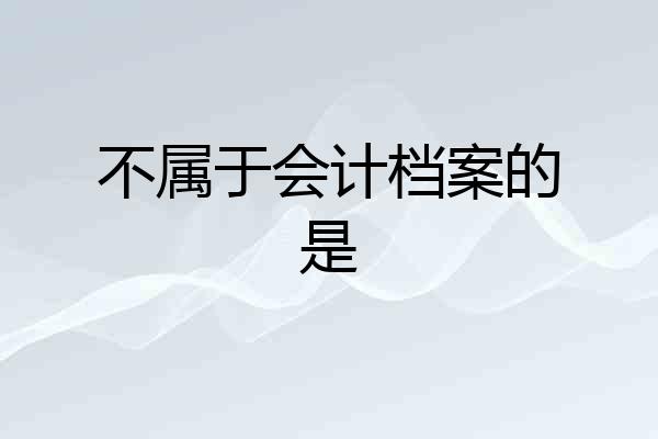 不属于会计档案的是