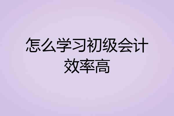 怎么学习初级会计效率高