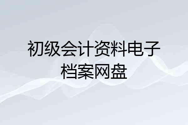 初级会计资料电子档案网盘
