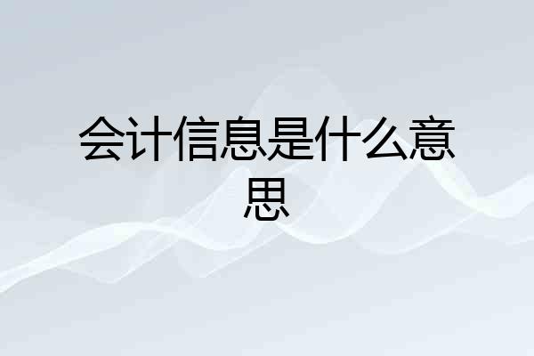 会计信息是什么意思