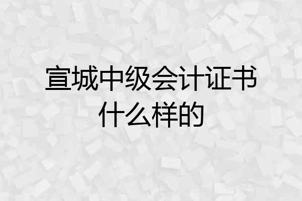 宣城中级会计证书什么样的