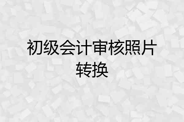 初级会计审核照片转换
