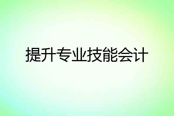 提升专业技能会计
