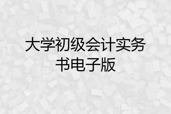 大学初级会计实务书电子版