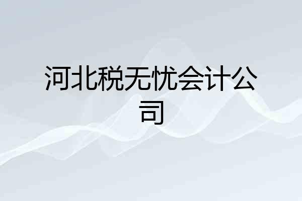 河北税无忧会计公司