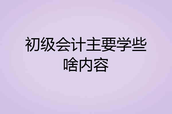 初级会计主要学些啥内容