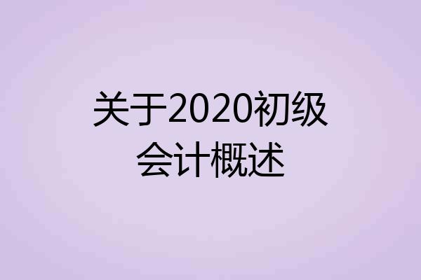 关于2020初级会计概述