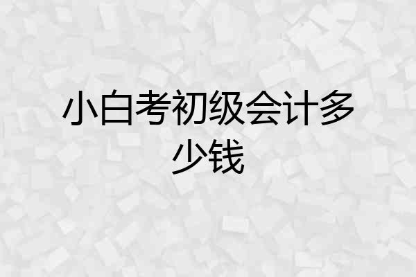 小白考初级会计多少钱
