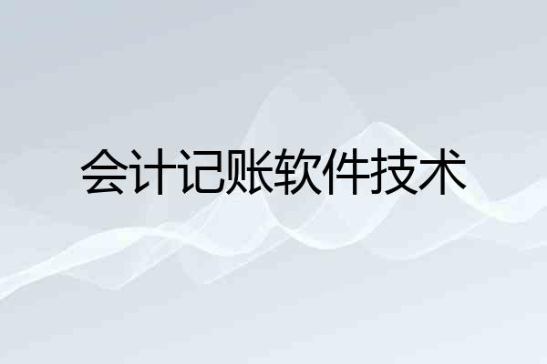 会计记账软件技术