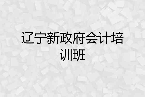 辽宁新政府会计培训班