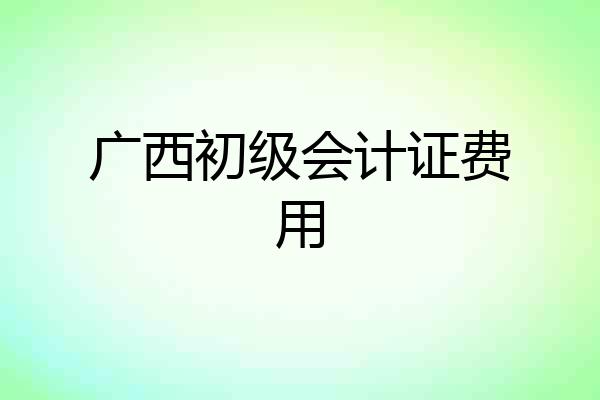 广西初级会计证费用