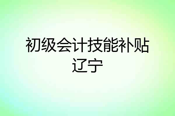 初级会计技能补贴辽宁