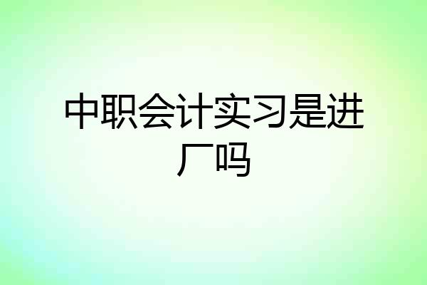 中职会计实习是进厂吗