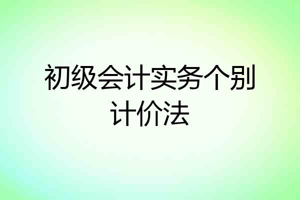 初级会计实务个别计价法