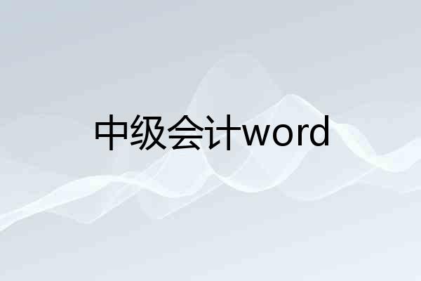 中级会计word