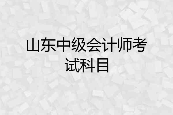 山东中级会计师考试科目