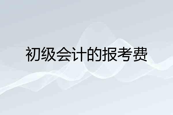 初级会计的报考费