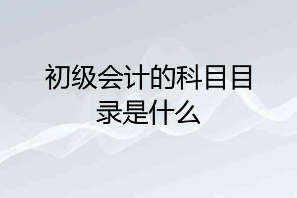 初级会计的科目目录是什么