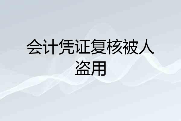 会计凭证复核被人盗用