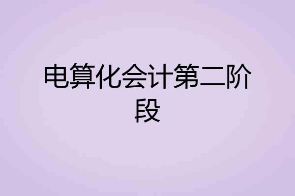 电算化会计第二阶段