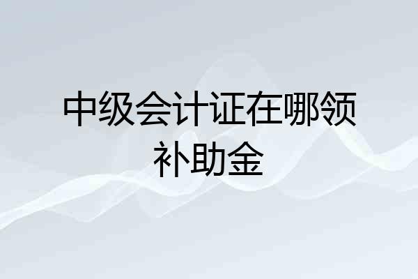 中级会计证在哪领补助金