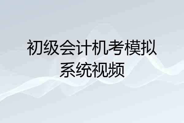 初级会计机考模拟系统视频