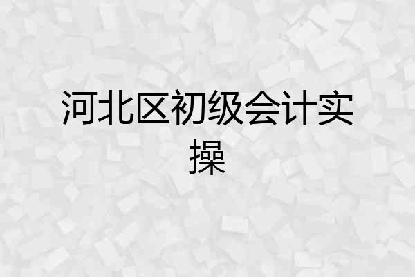 河北区初级会计实操