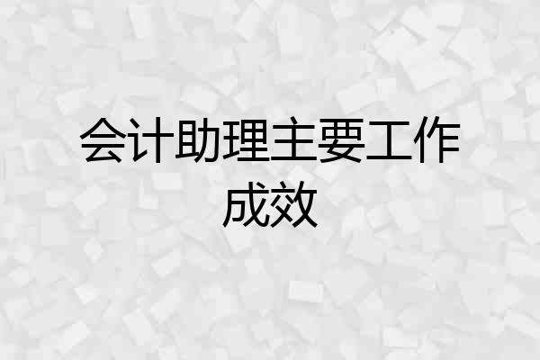 会计助理主要工作成效