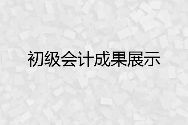 初级会计成果展示