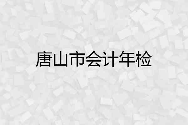 唐山市会计年检