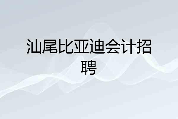 汕尾比亚迪会计招聘