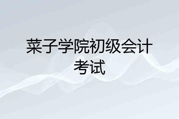 菜子学院初级会计考试