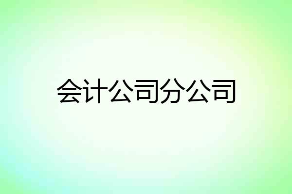 会计公司分公司