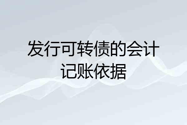 发行可转债的会计记账依据