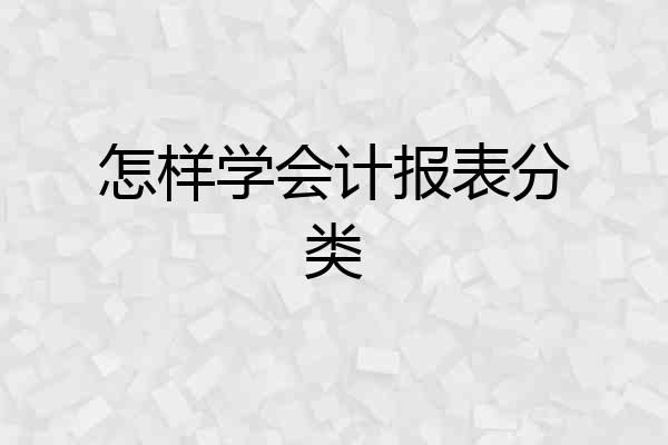 怎样学会计报表分类