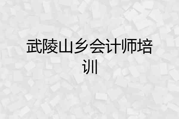 武陵山乡会计师培训